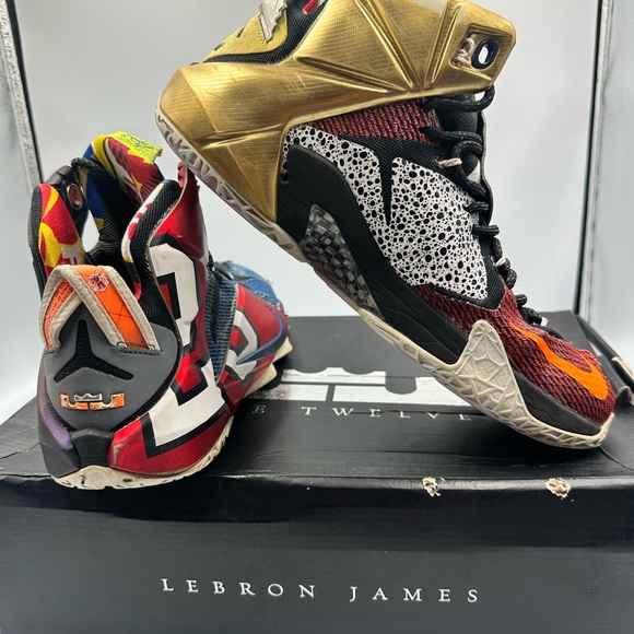Nike Lebron XII 12 SE WTL What The Lebron James Multicolor Phantom MTLC Cacao 10 - Picture 5 of 14